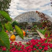Missouri Botanical Gardens