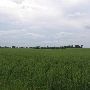 Open Field on Hwy 32