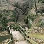 Rock Bridge Memorial State Park