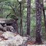 Hawn State Park