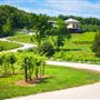 Chandler Hill Vineyard