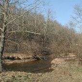 Mark Twain National Forest
