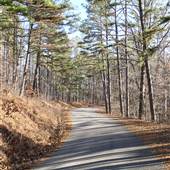 Road near Noblett Lake