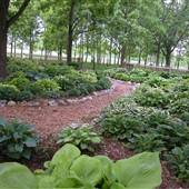 Nathanael Greene Park