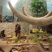Mastodon State Historic Site