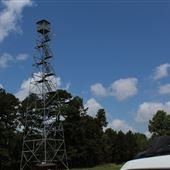 Branch Lookout Tower