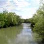 Iron Bridge over Black River