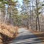Road near Noblett Lake