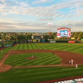 Hammons Field