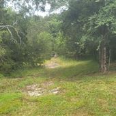 Alum Hill